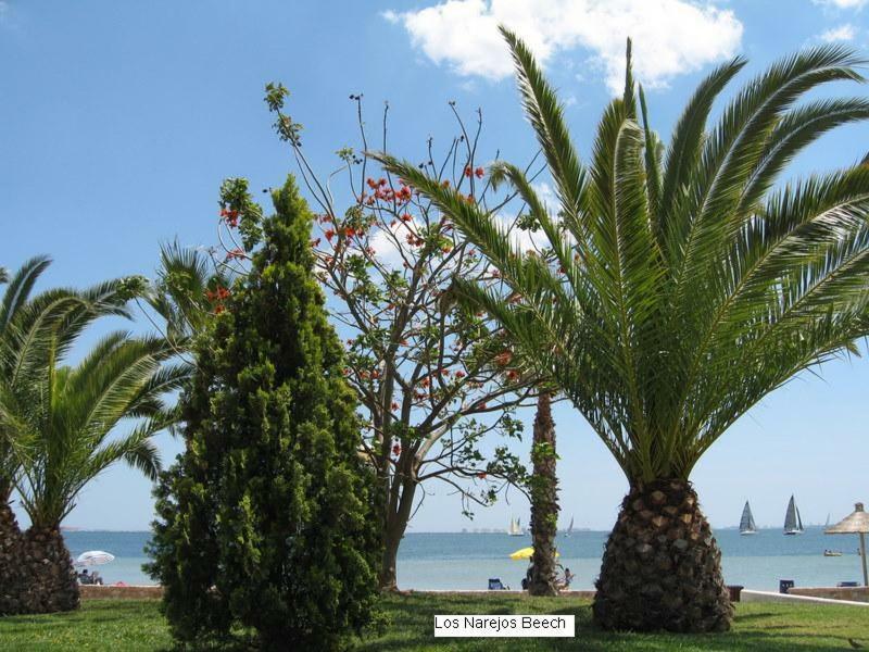 Beautiful 1 Bedroom Apartment In Roda, Los Alcazares. Larger Than Average. Esterno foto